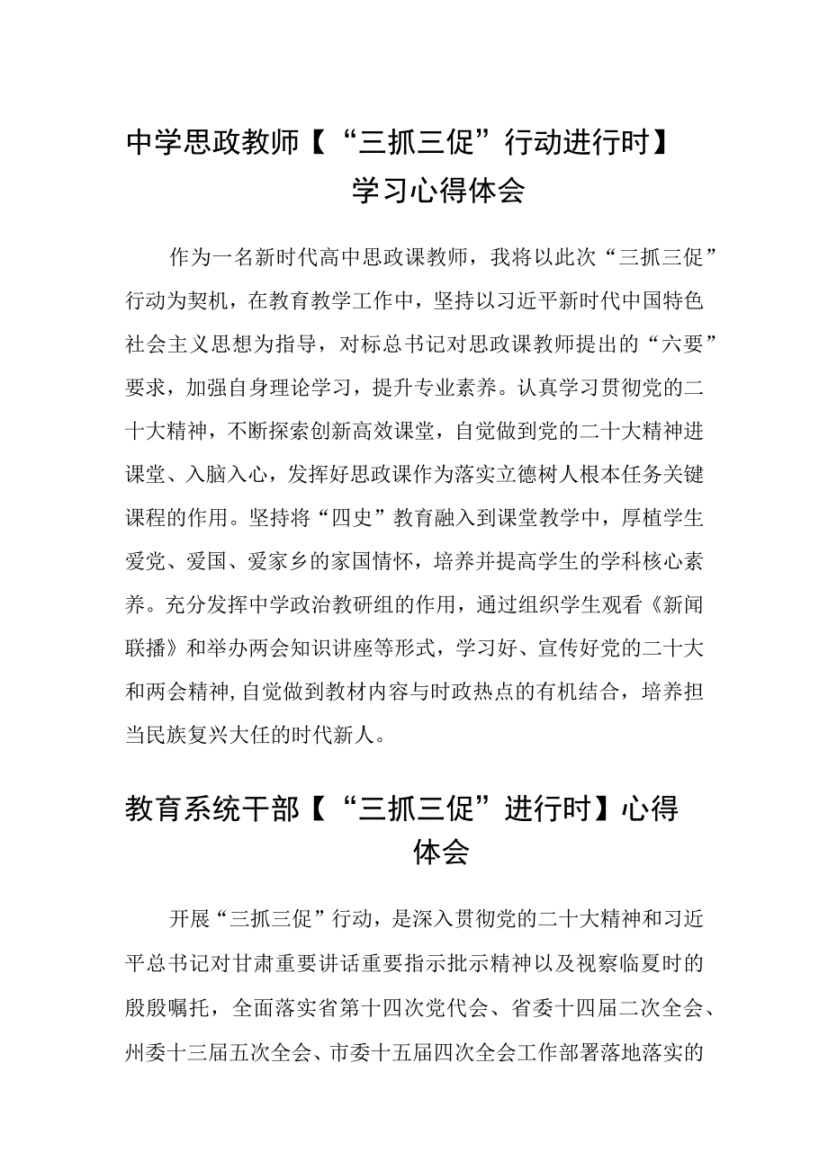 共三篇中学思政教师三抓三促行动进行时学习心得体会.docx_第1页