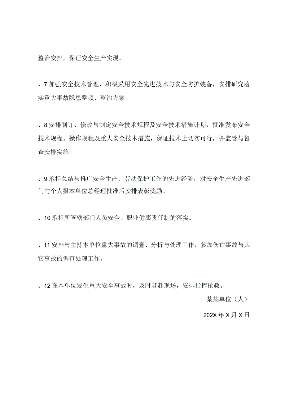 副总经理安全、职业健康职责.docx_第3页