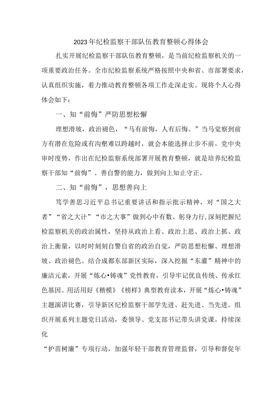 刑侦支队长2023年纪检监察干部队伍教育整顿个人心得体会 （汇编八份）.docx_第1页