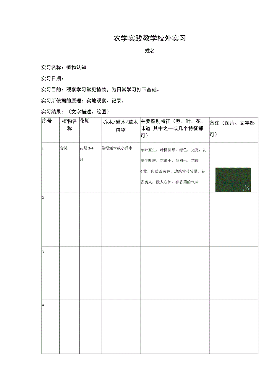 农 学 实 践 教 学 校 外 植物认知（寒假作业）.docx_第1页