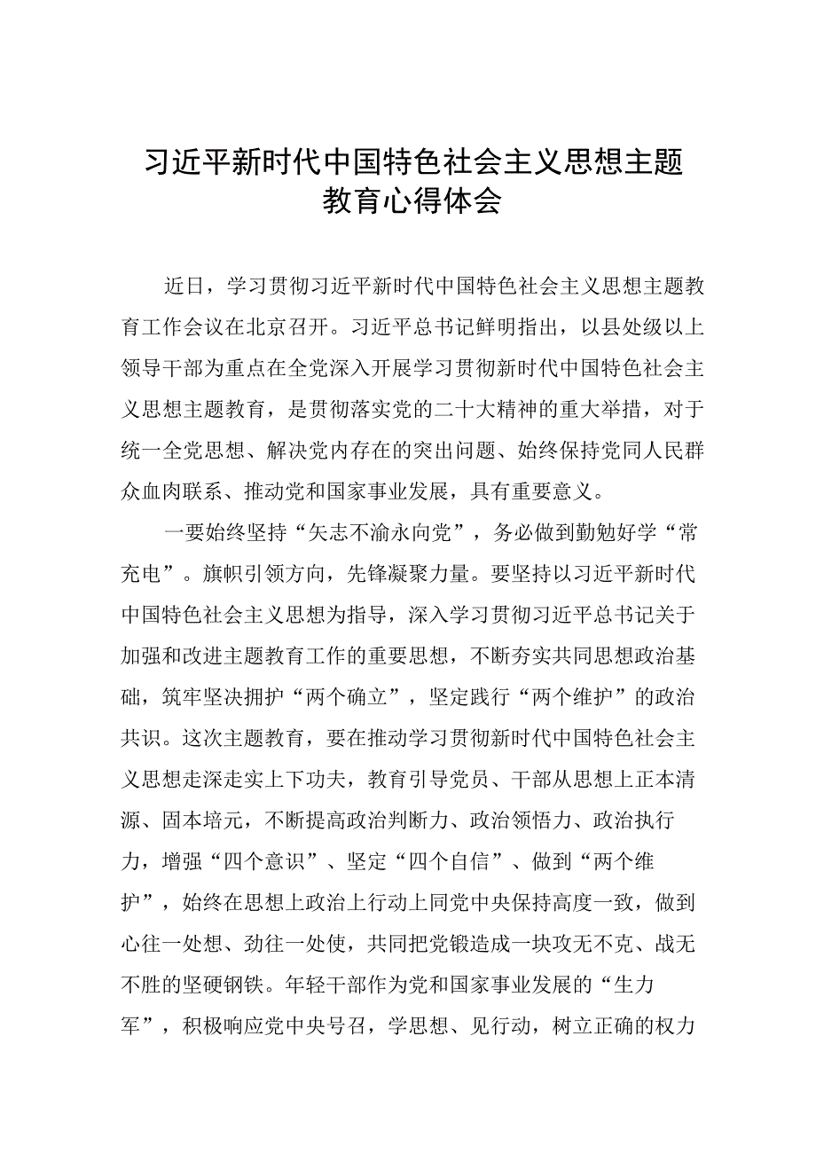 关于学习贯彻2023年主题教育的心得体会九篇.docx_第1页