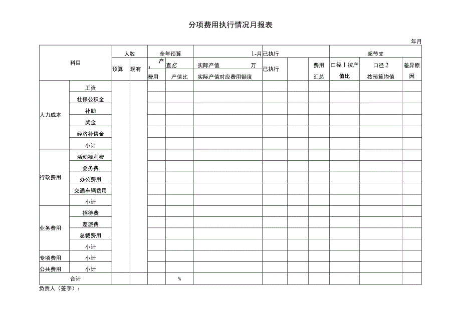 分项费用执行情况月报表.docx_第1页