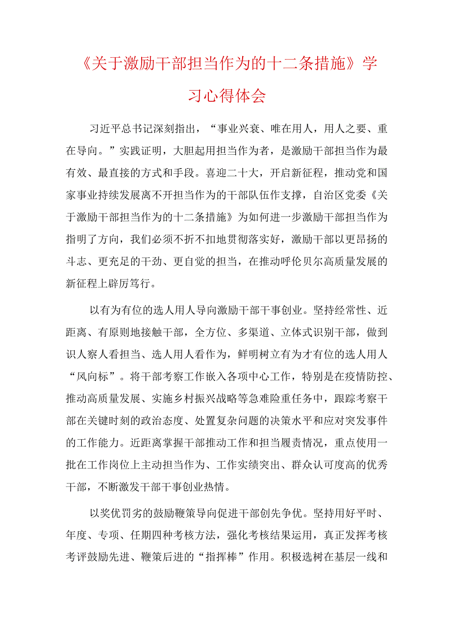 关于激励干部担当作为的十二条措施学习心得体会五篇.docx_第1页