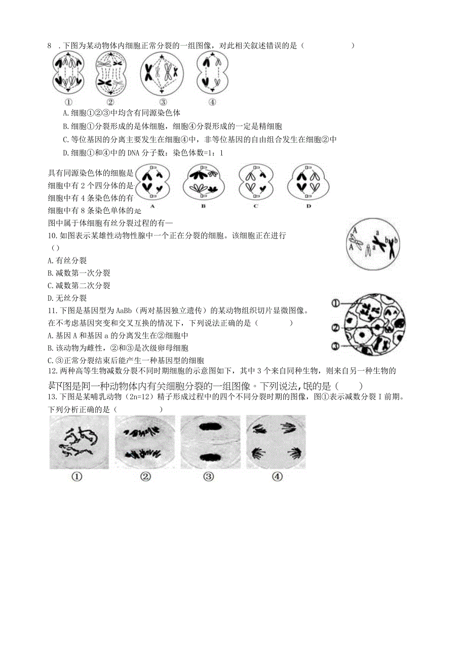 减数分裂2023副本.docx_第2页