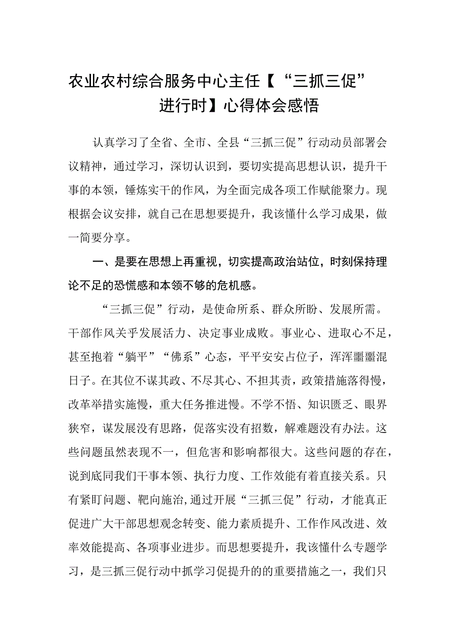 农业农村综合服务中心主任三抓三促进行时心得体会感悟范文参考三篇.docx_第1页