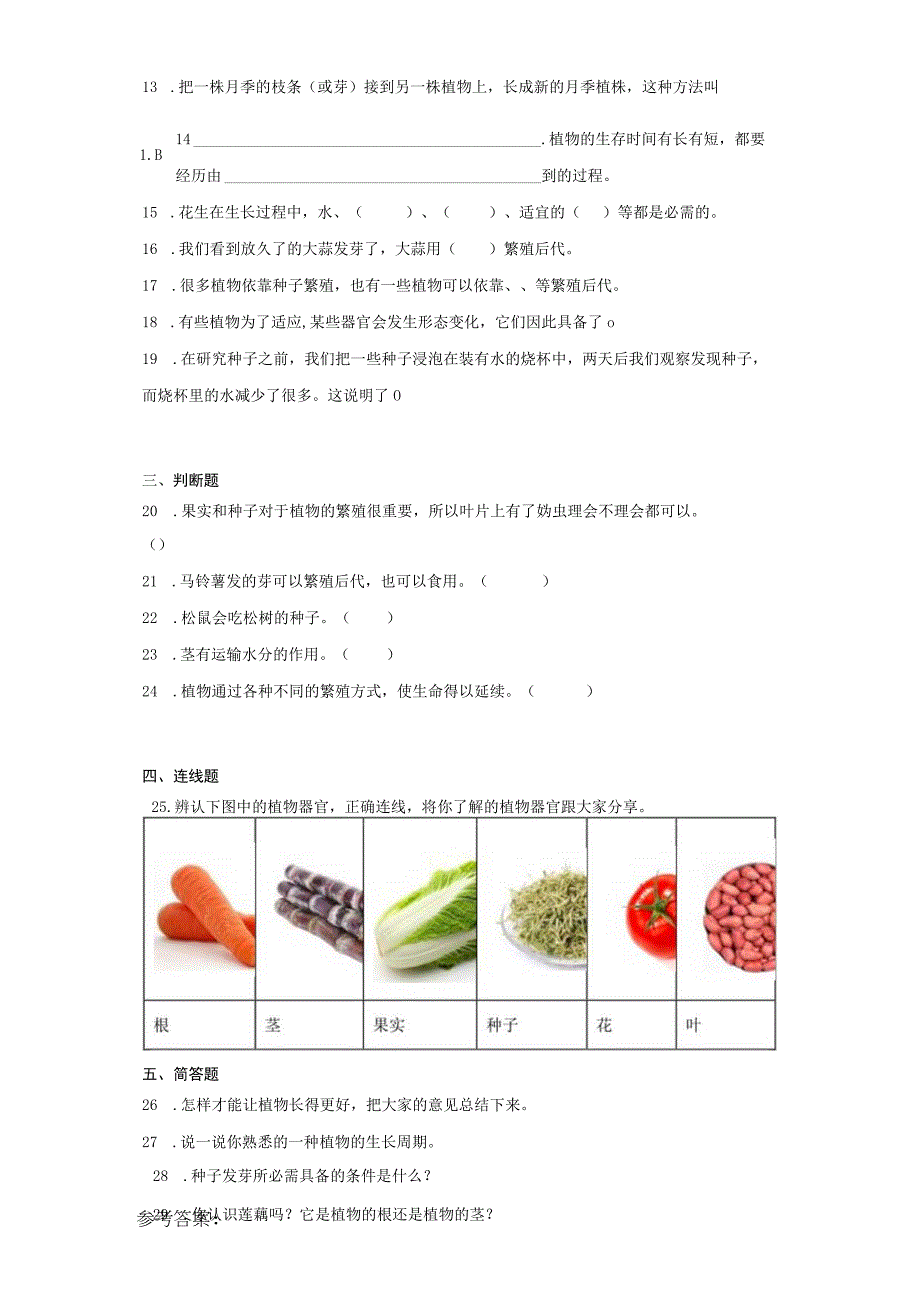 冀人版四年级下册科学第二单元植物的生长与繁殖测试卷.docx_第2页