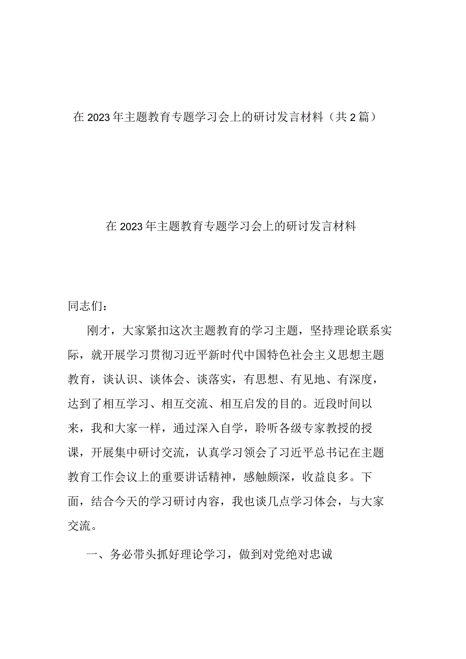 在2023年主题教育专题学习会上的研讨发言材料(共2篇).docx_第1页