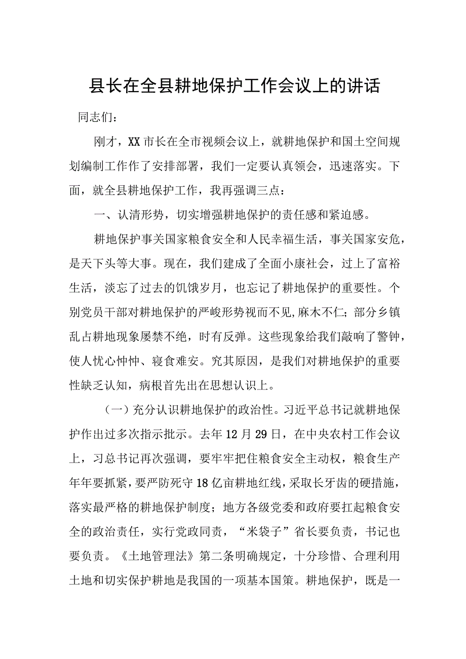 县长在全县耕地保护工作会议上的讲话.docx_第1页