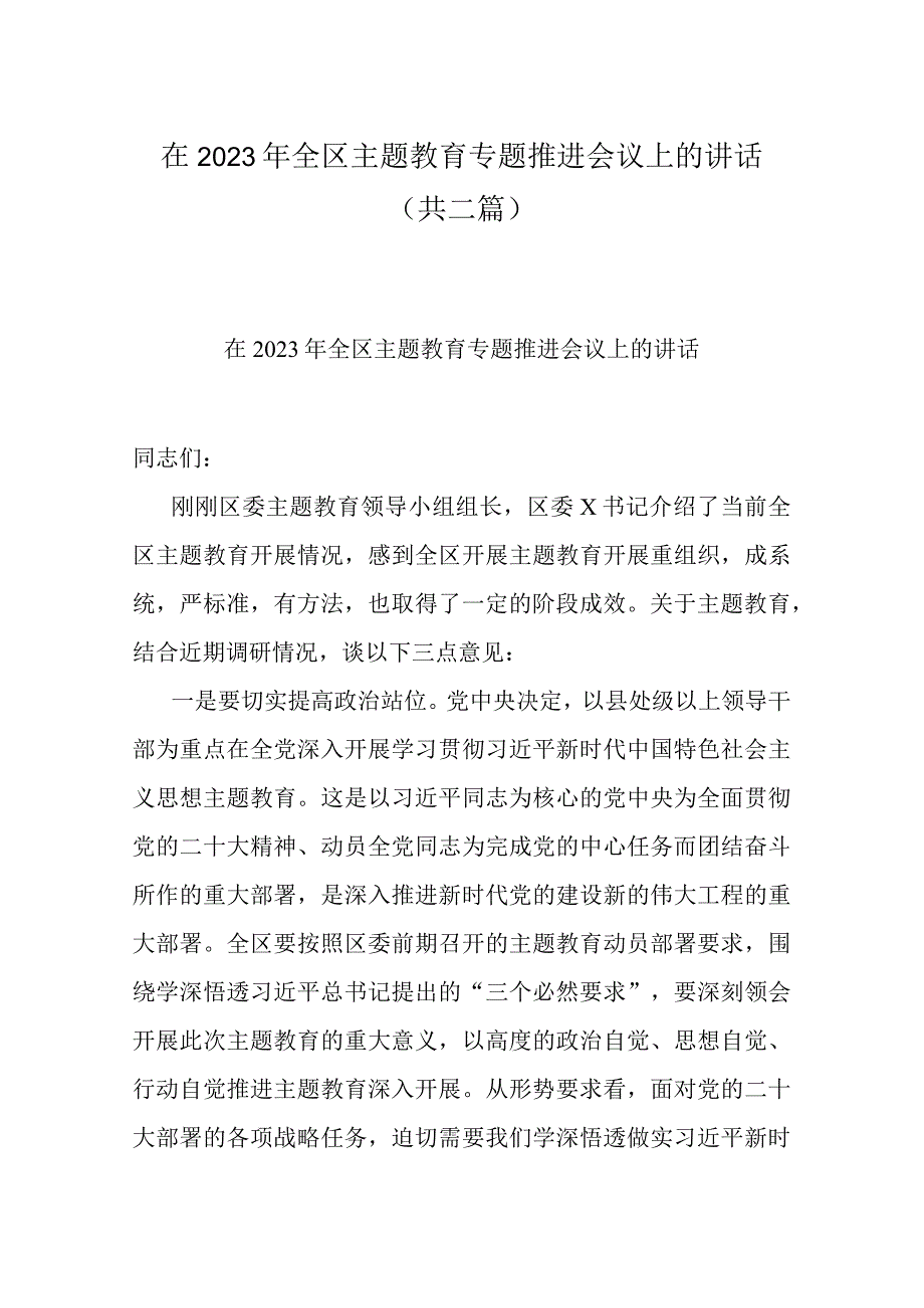 在2023年全区主题教育专题推进会议上的讲话(共二篇).docx_第1页