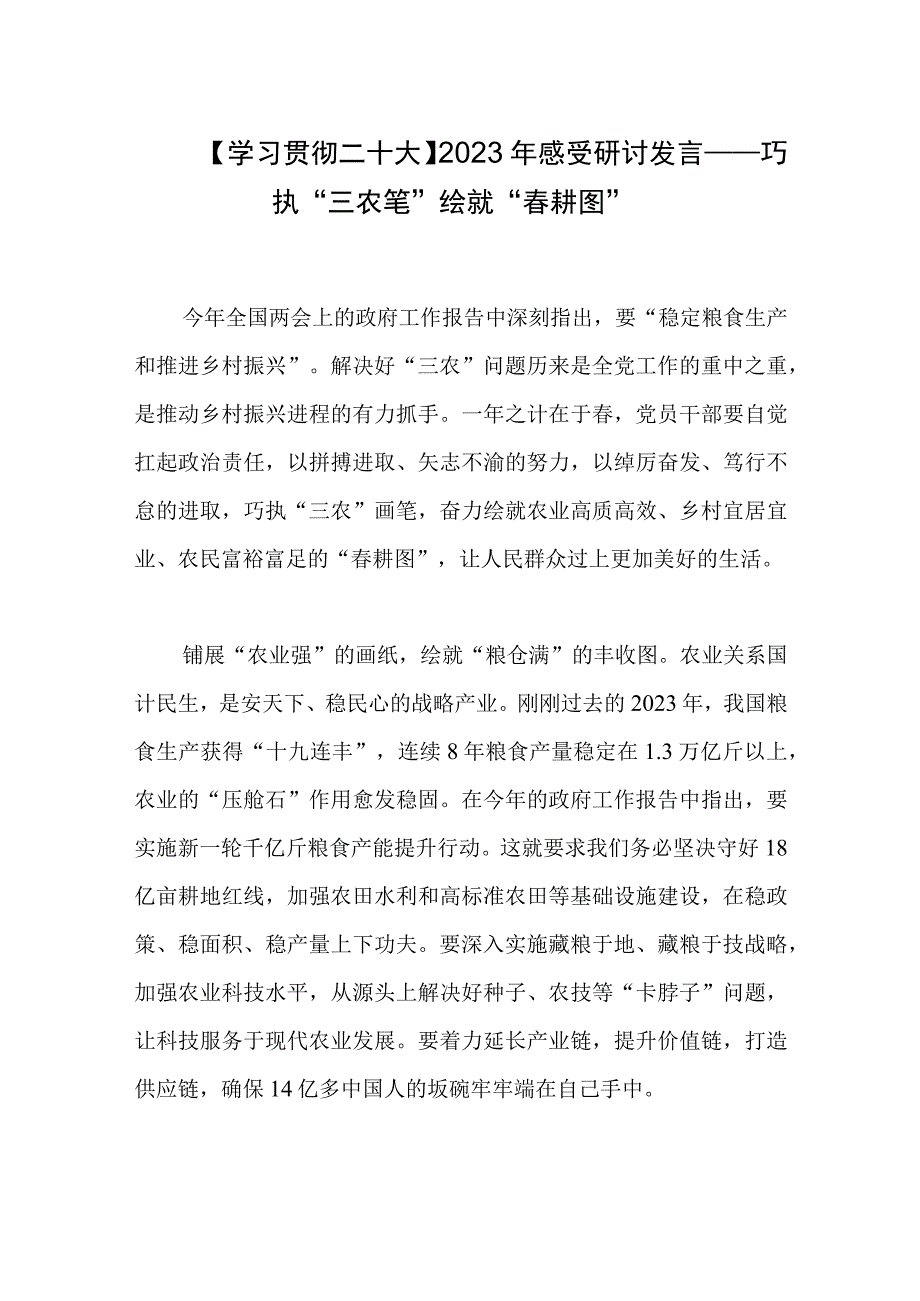 学习贯彻会议精神2023年感受研讨发言——巧执三农笔绘就春耕图.docx_第1页