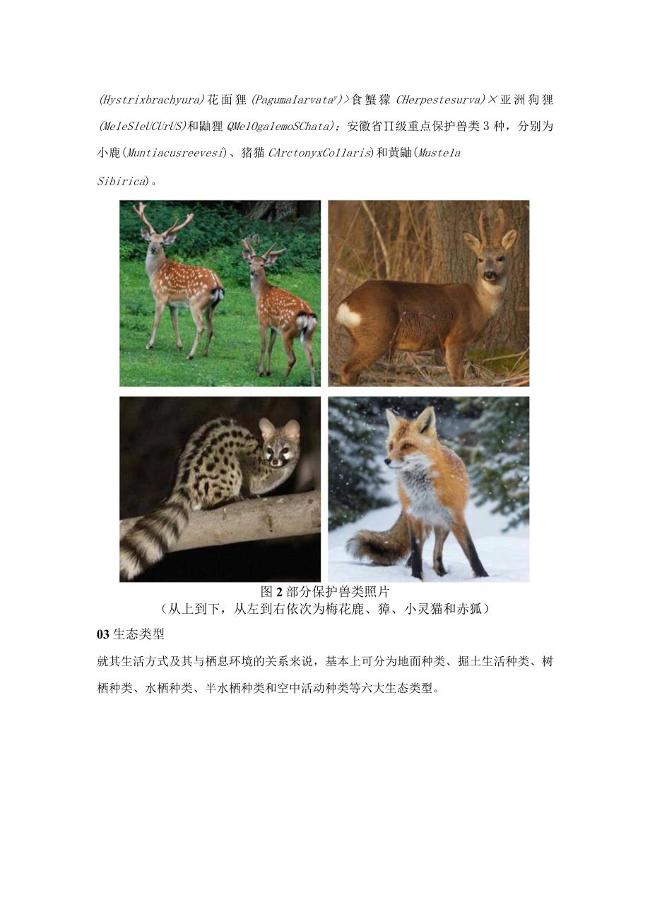 安徽兽类多样性介绍.docx_第2页