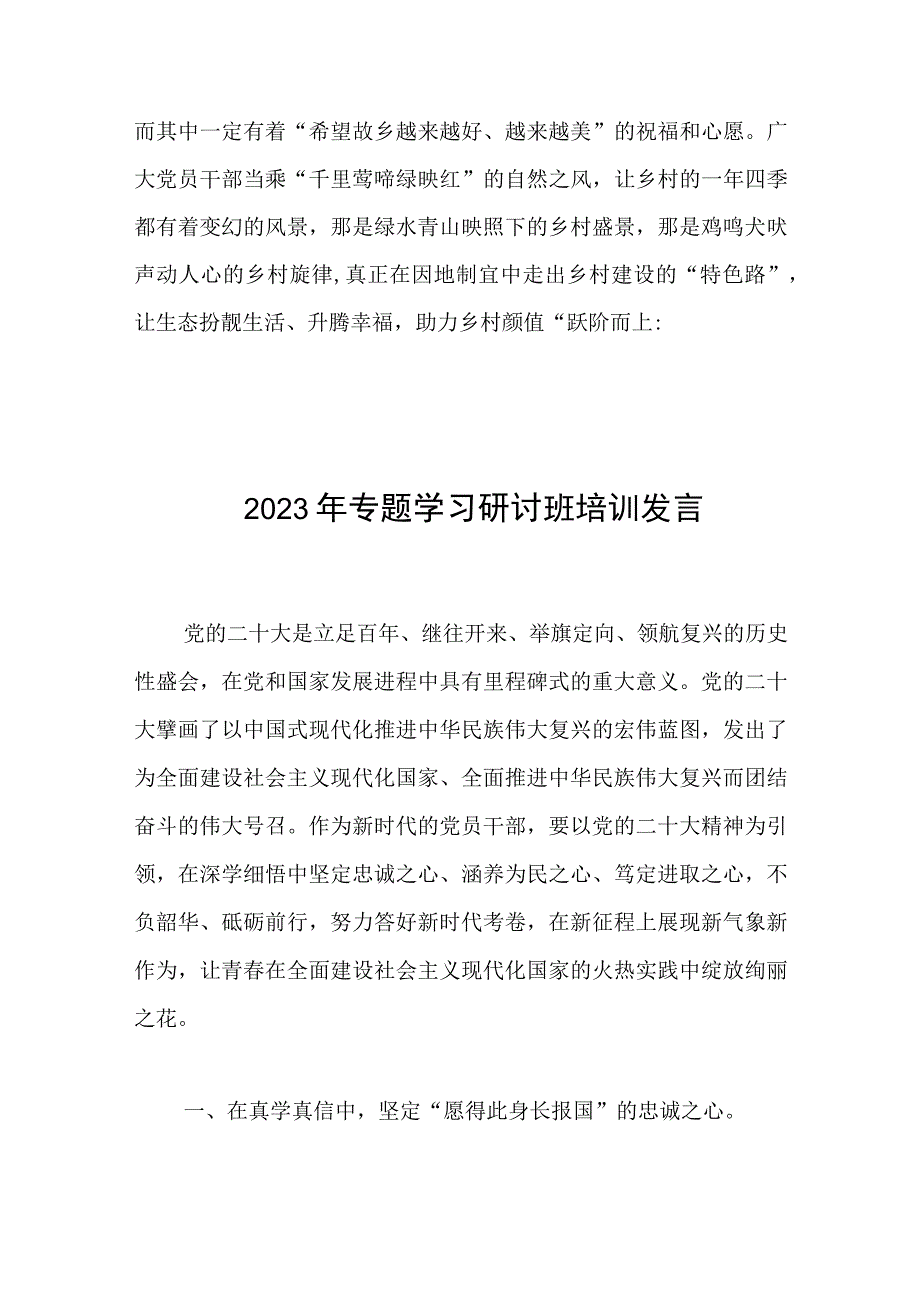 学习贯彻二十大2023年感受研讨发言——乘风翱翔助力乡村振兴跃阶而上.docx_第3页