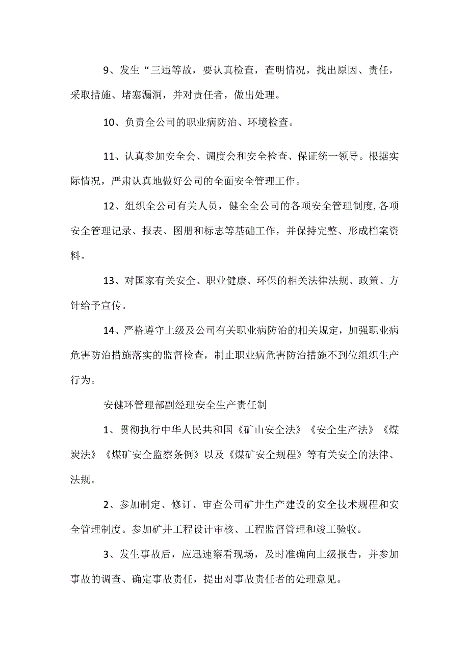 安健环管理部经理安全生产责任制_1.docx_第2页