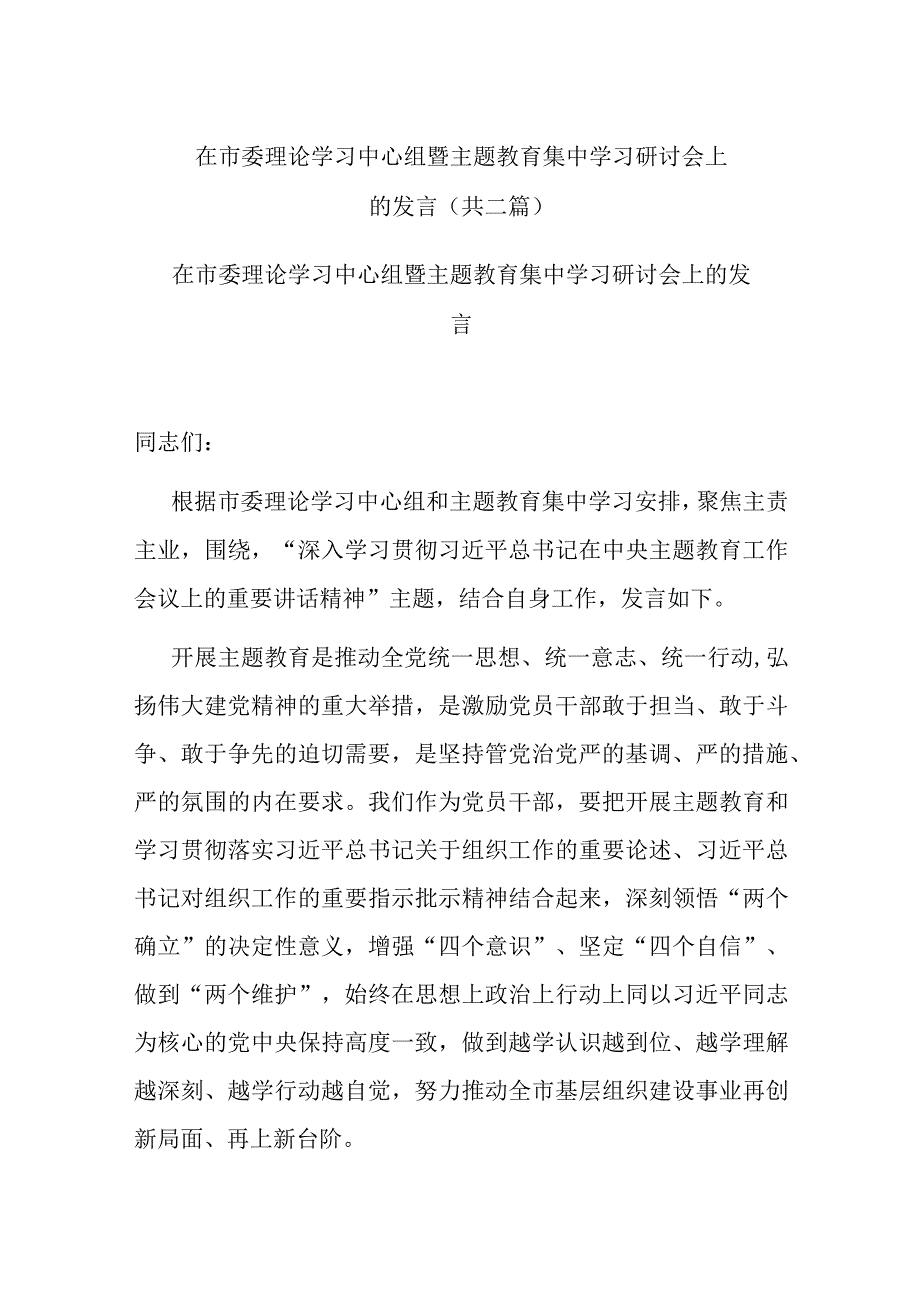 在市委理论学习中心组暨主题教育集中学习研讨会上的发言(共二篇).docx_第1页