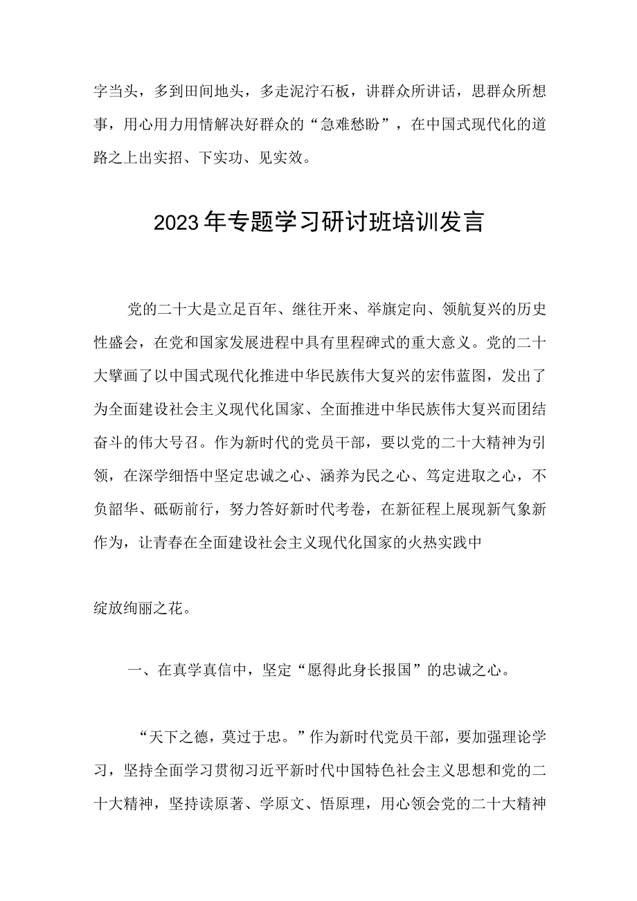 学习贯彻二十大2023年感受研讨发言——紧握硬笔头绘就春天里的新画卷.docx_第3页