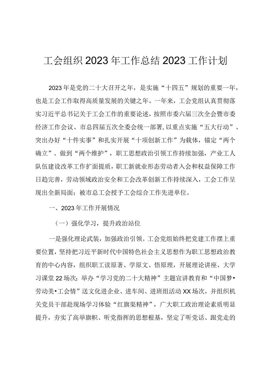 工会组织2023年工作总结2023工作计划.docx_第1页