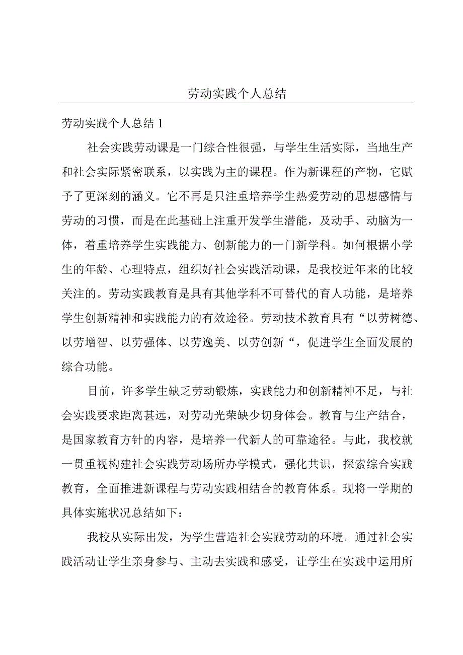 劳动实践个人总结.docx_第1页