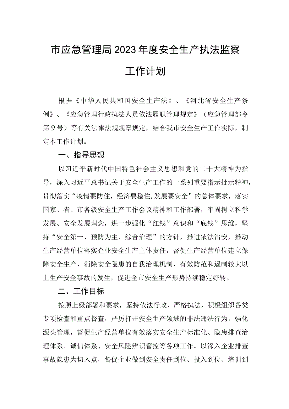 市应急管理局2023年度安全生产执法监察工作计划.docx_第1页