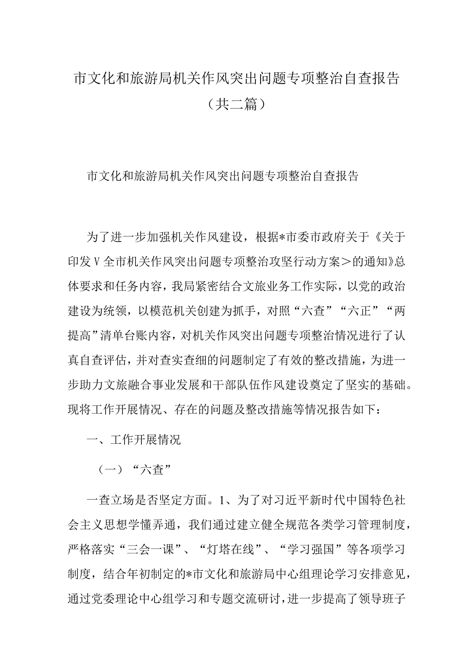 市文化和旅游局机关作风突出问题专项整治自查报告(共二篇).docx_第1页