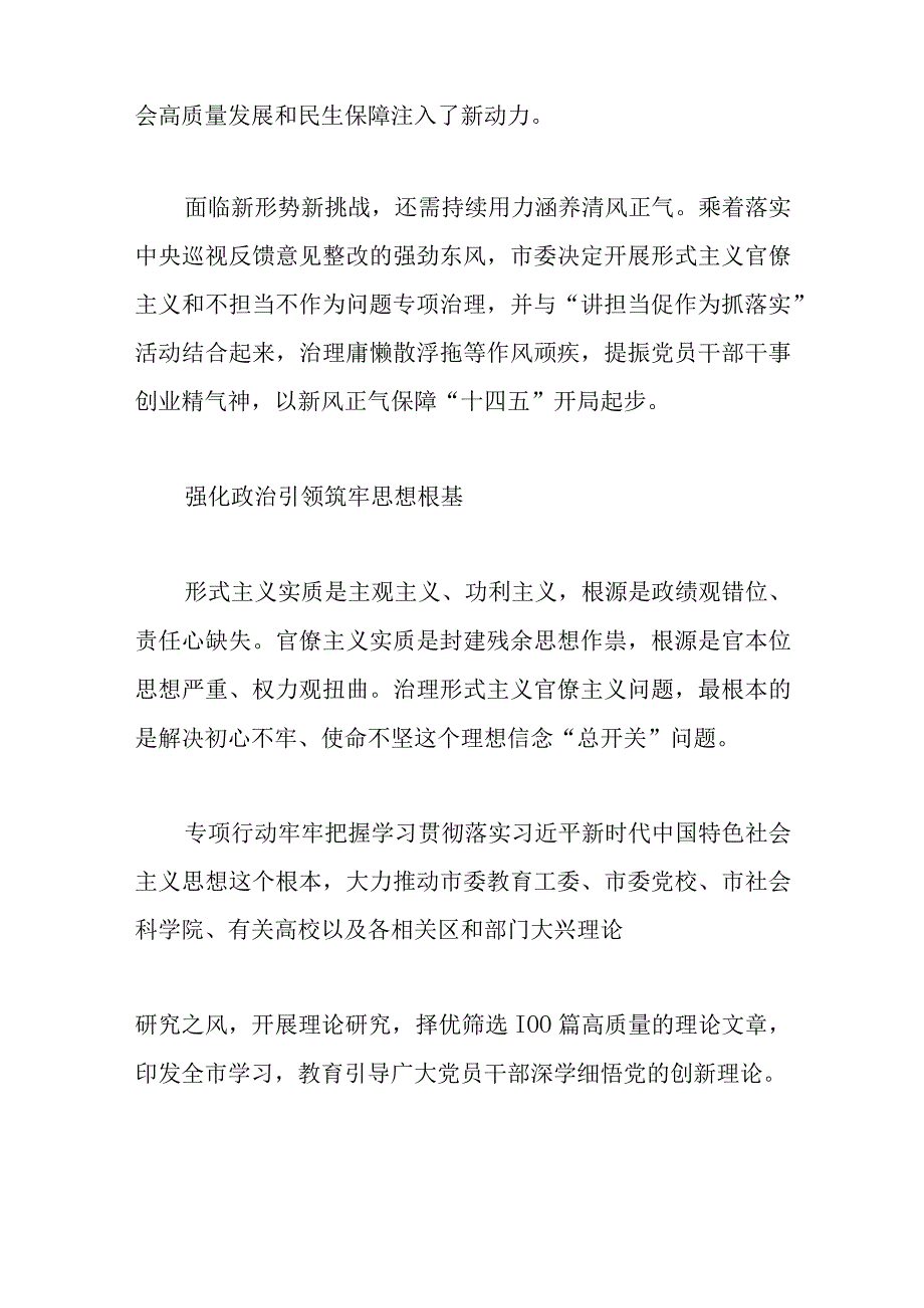 形式主义官僚主义不担当不作为问题专项行动工作总结.docx_第2页