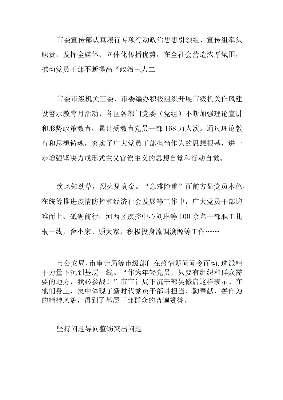 形式主义官僚主义不担当不作为问题专项行动工作总结.docx_第3页