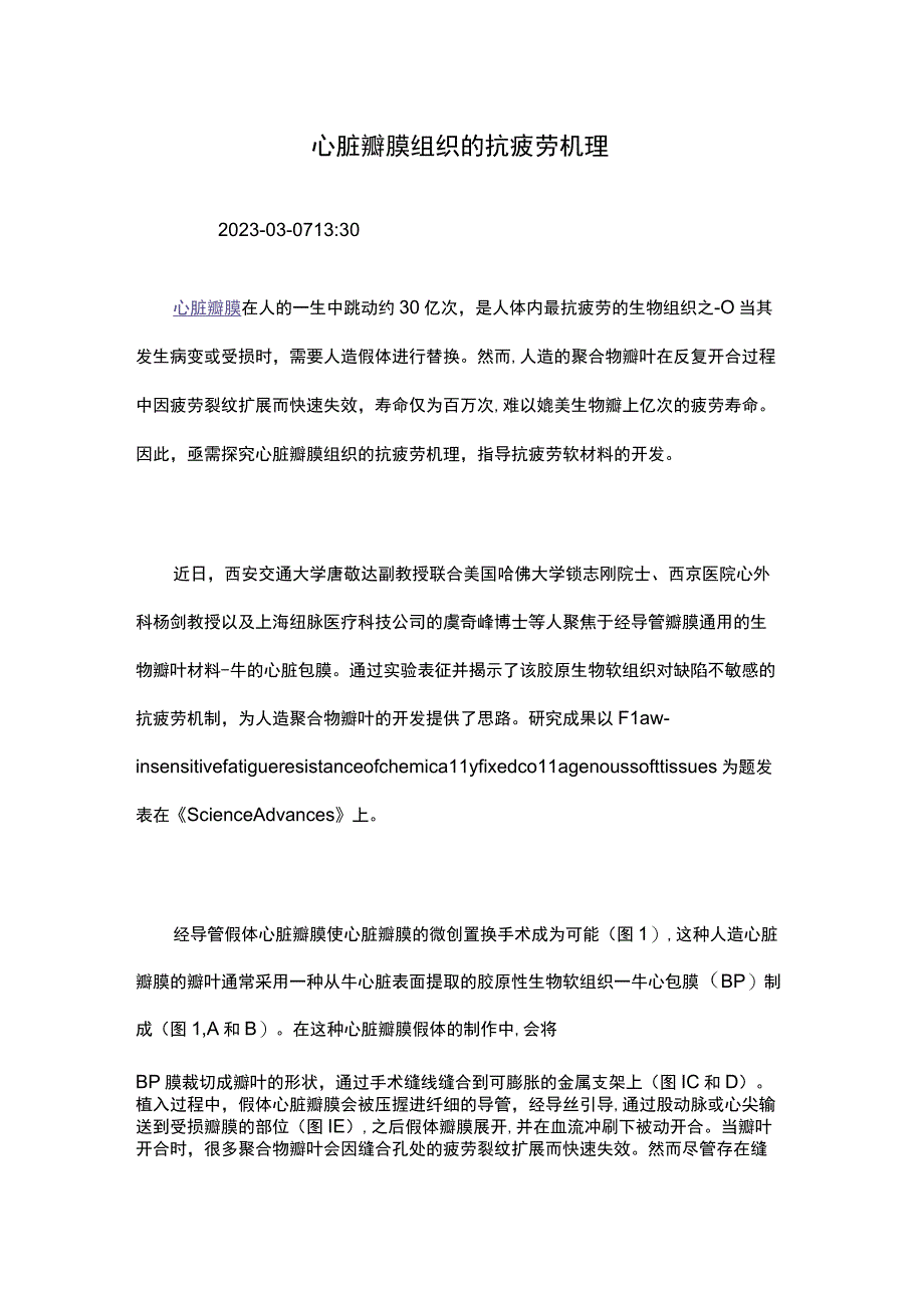 心脏瓣膜组织的抗疲劳机理.docx_第1页