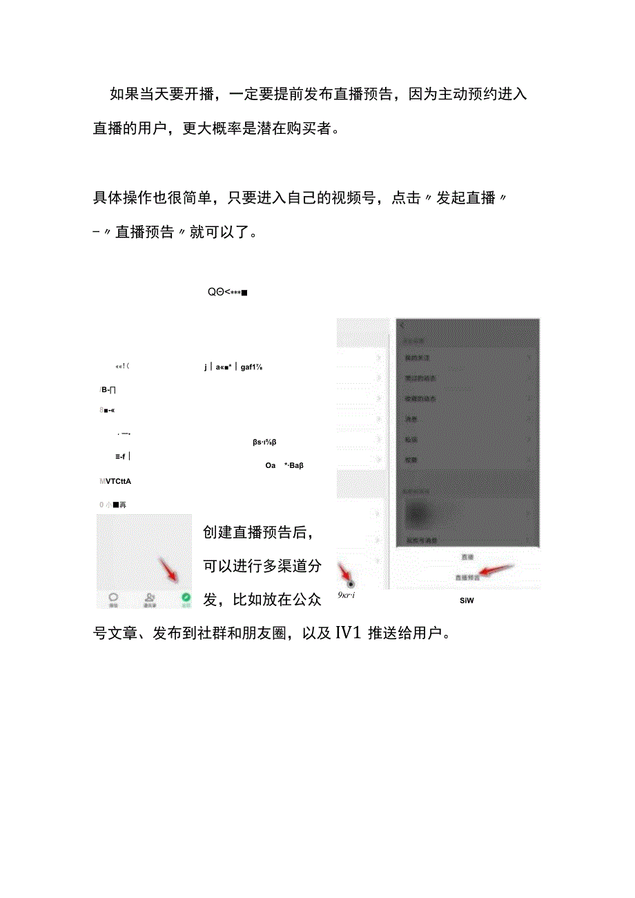 微信视频号直播带货指导方案.docx_第2页