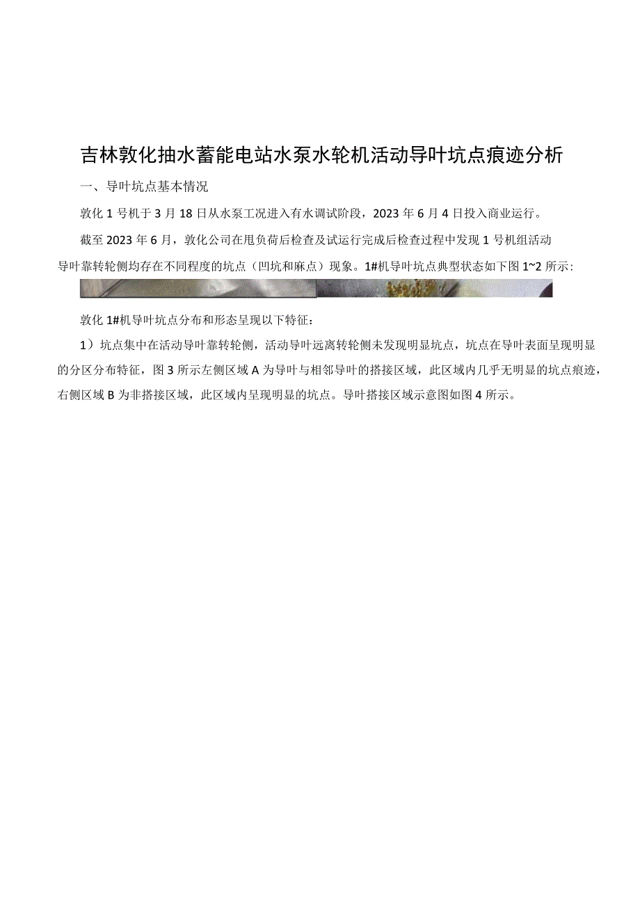 敦化抽水蓄能水泵水轮机活动导叶坑点痕迹分析报告.docx_第1页