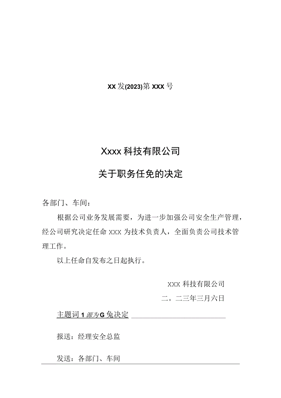 技术负责人任命文件.docx_第1页