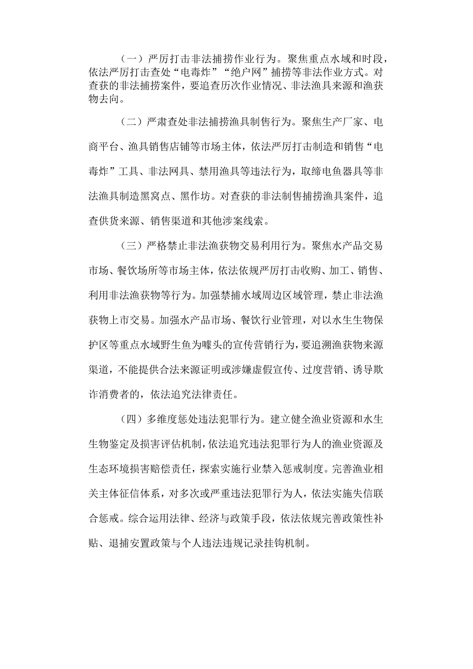 打击非法捕捞专项整治工作实施方案.docx_第3页