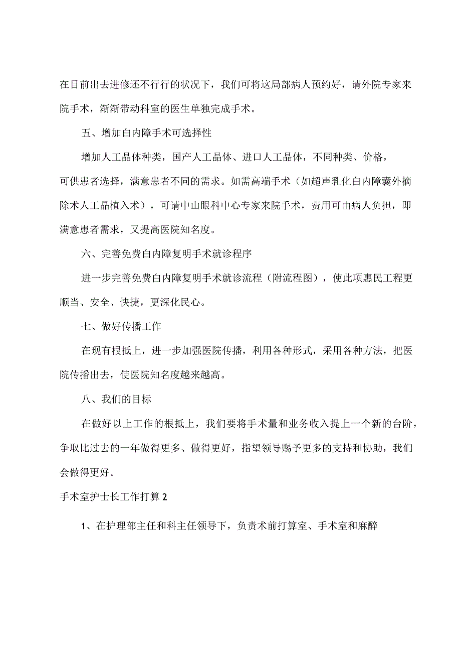 手术室护士长工作计划.docx_第2页