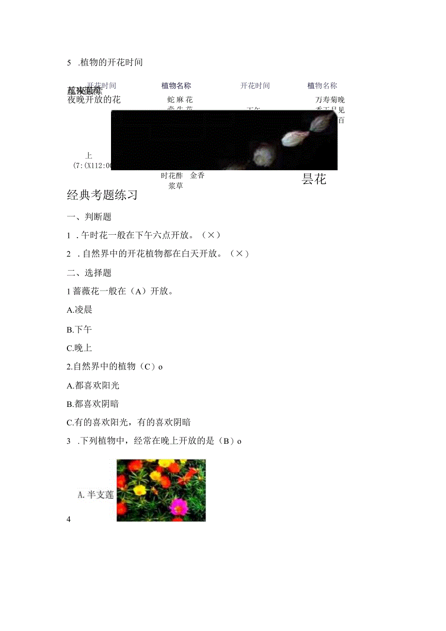 新苏教版五年级科学（下册）10昼夜对植物的影响知识点梳理及经典考题练习.docx_第2页