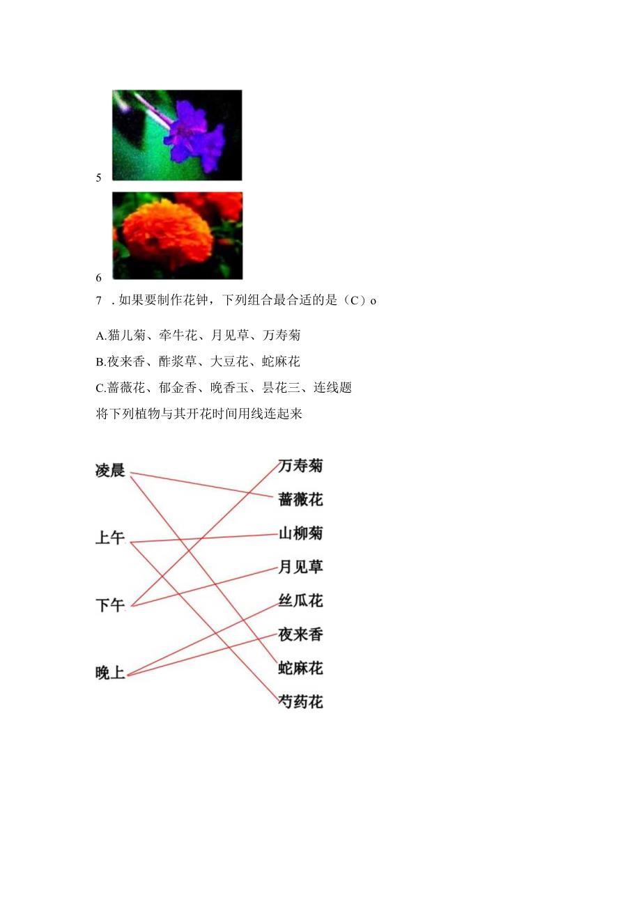 新苏教版五年级科学（下册）10昼夜对植物的影响知识点梳理及经典考题练习.docx_第3页