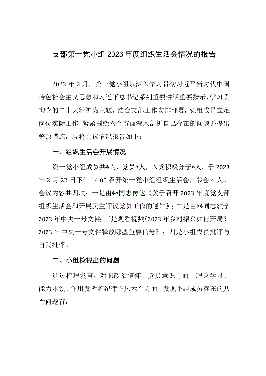 支部党小组2022-2023年度组织生活会开展情况的报告汇报.docx_第1页