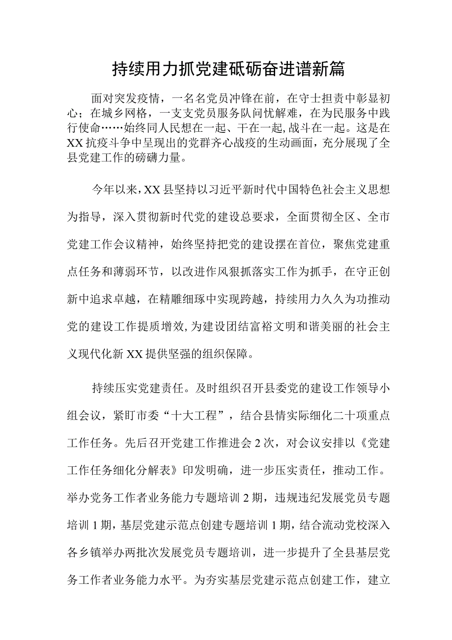 持续用力抓党建 砥砺奋进谱新篇.docx_第1页