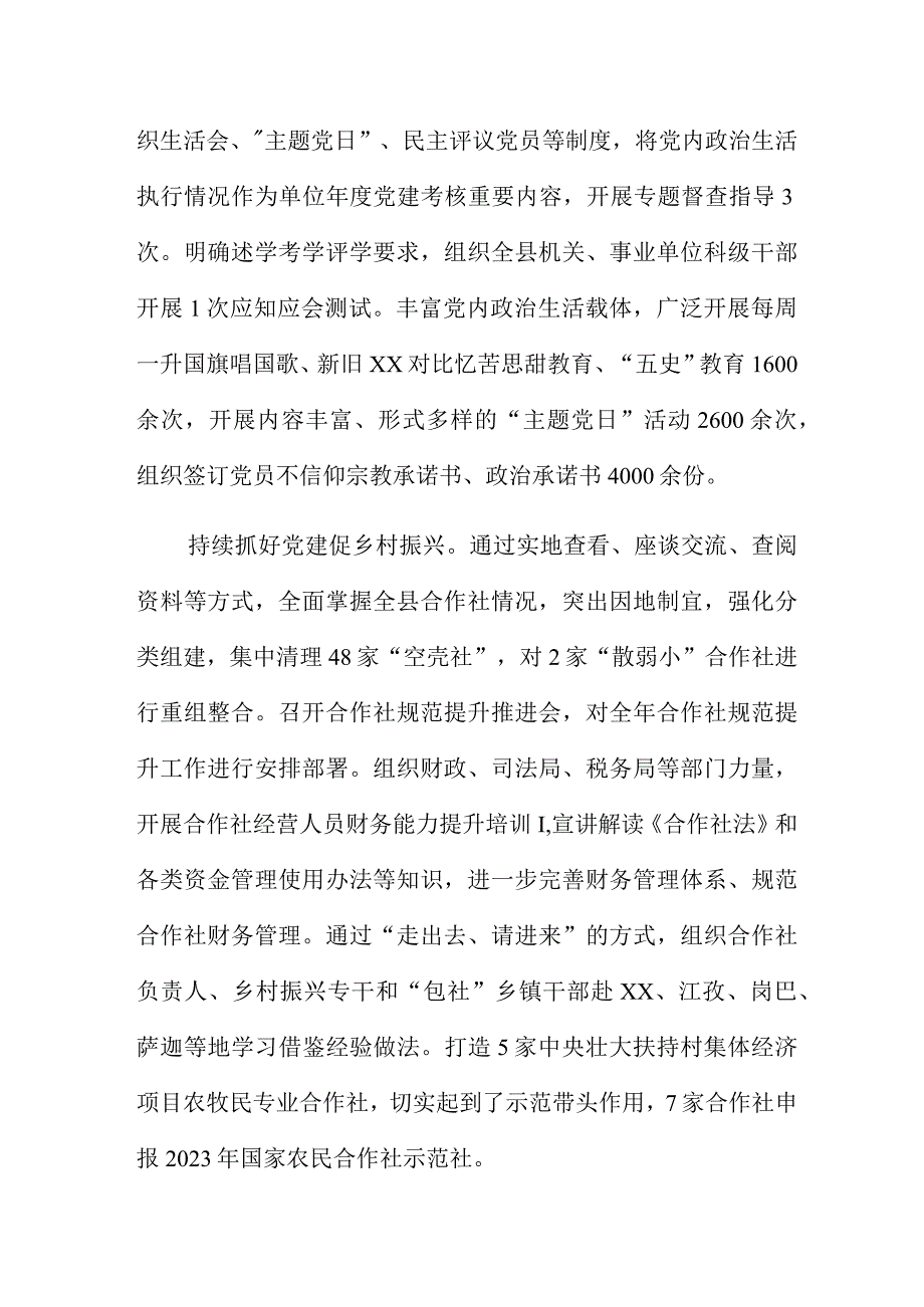 持续用力抓党建 砥砺奋进谱新篇.docx_第3页