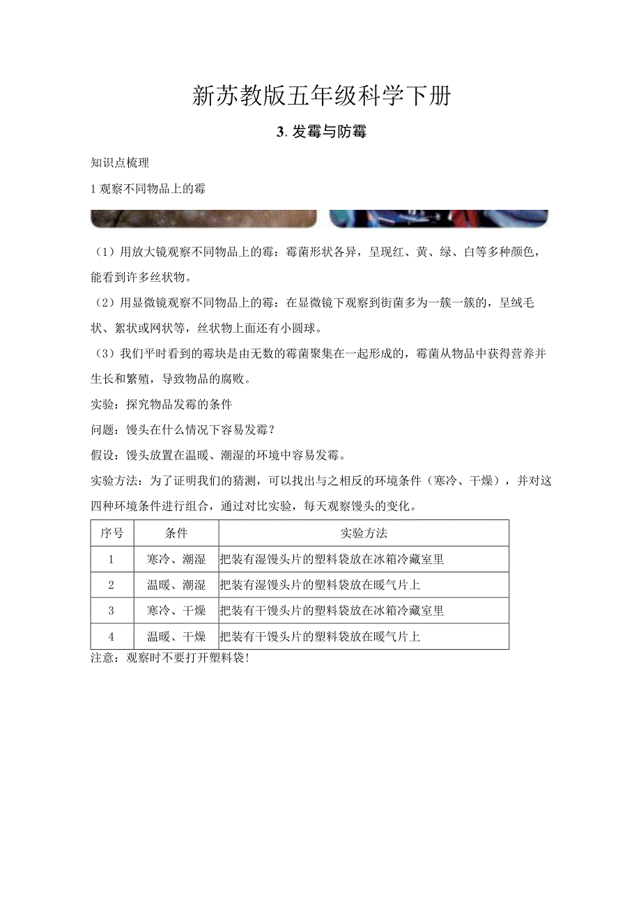 新苏教版五年级科学（下册）3发霉与防霉知识点梳理及经典考题练习.docx_第1页