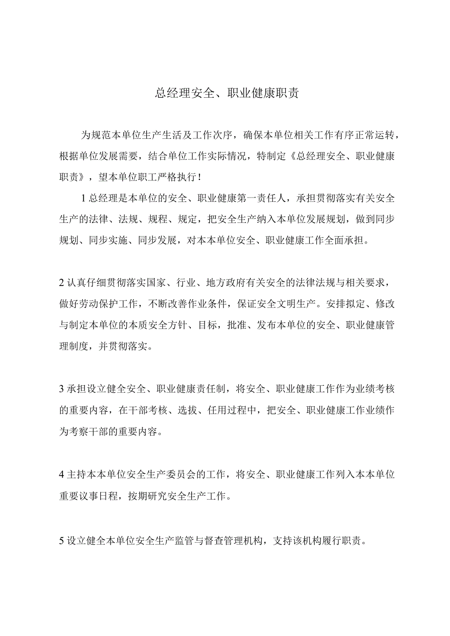 总经理安全、职业健康职责.docx_第2页