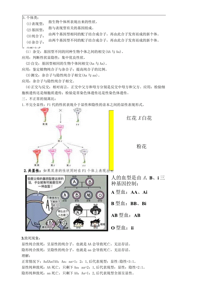 必修二第一章第1节 孟德尔的豌豆杂交实验（一）.docx_第3页