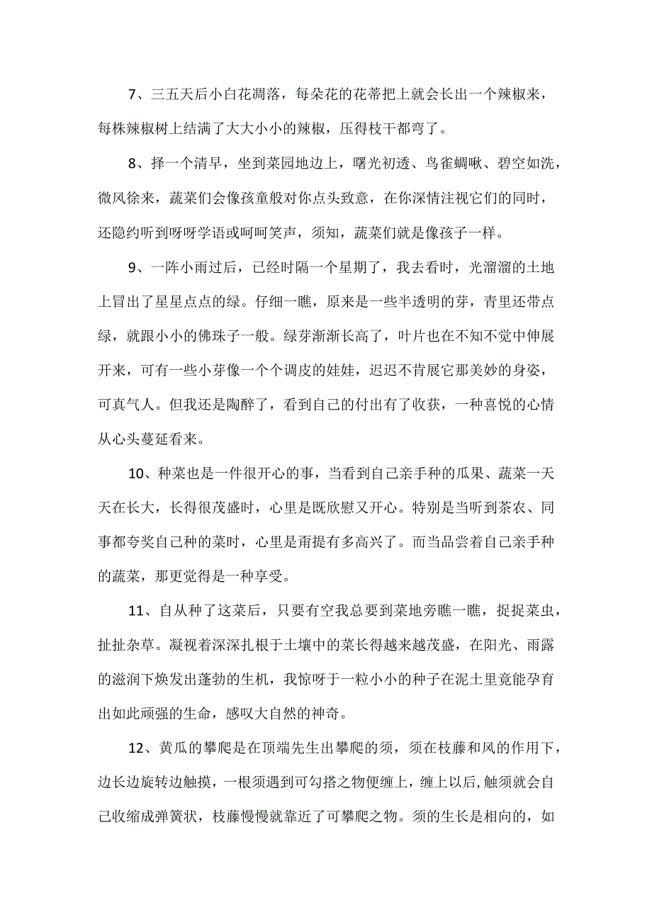 摘菜的劳动感悟20字.docx_第2页