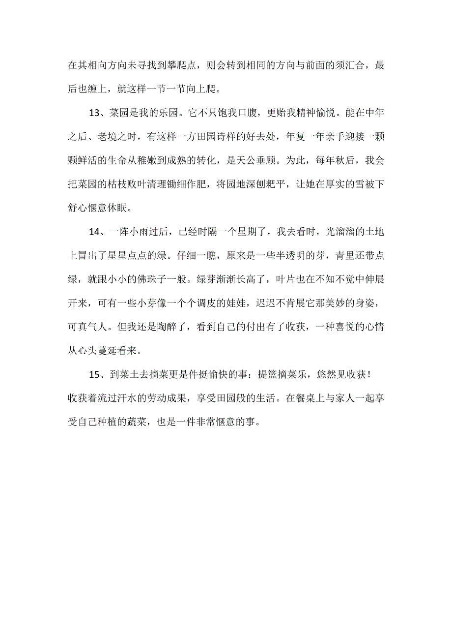 摘菜的劳动感悟20字.docx_第3页