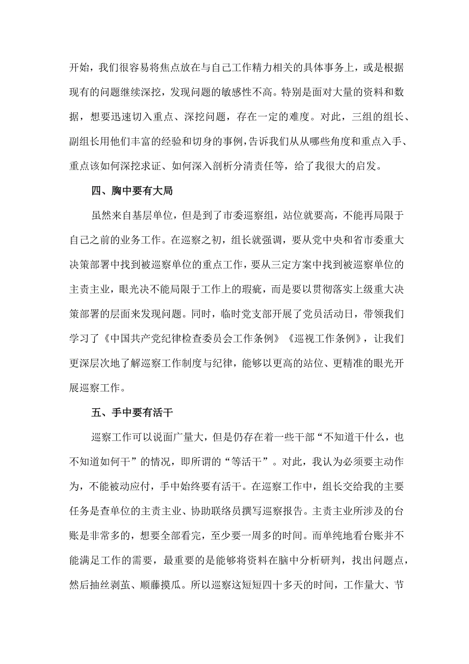 新版市区2023年纪检巡察组巡检工作心得体会 汇编9份.docx_第2页