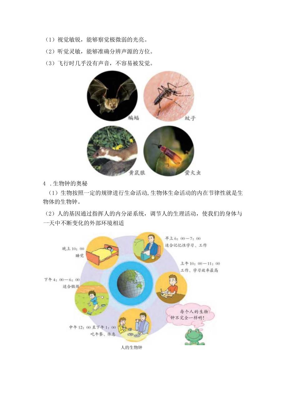 新苏教版五年级科学（下册）11昼夜对动物的影响知识点梳理及经典考题练习.docx_第2页