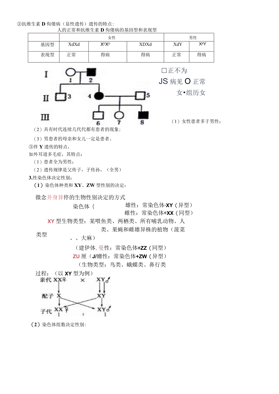 必修二第二章第3节 伴性遗传教案.docx_第2页