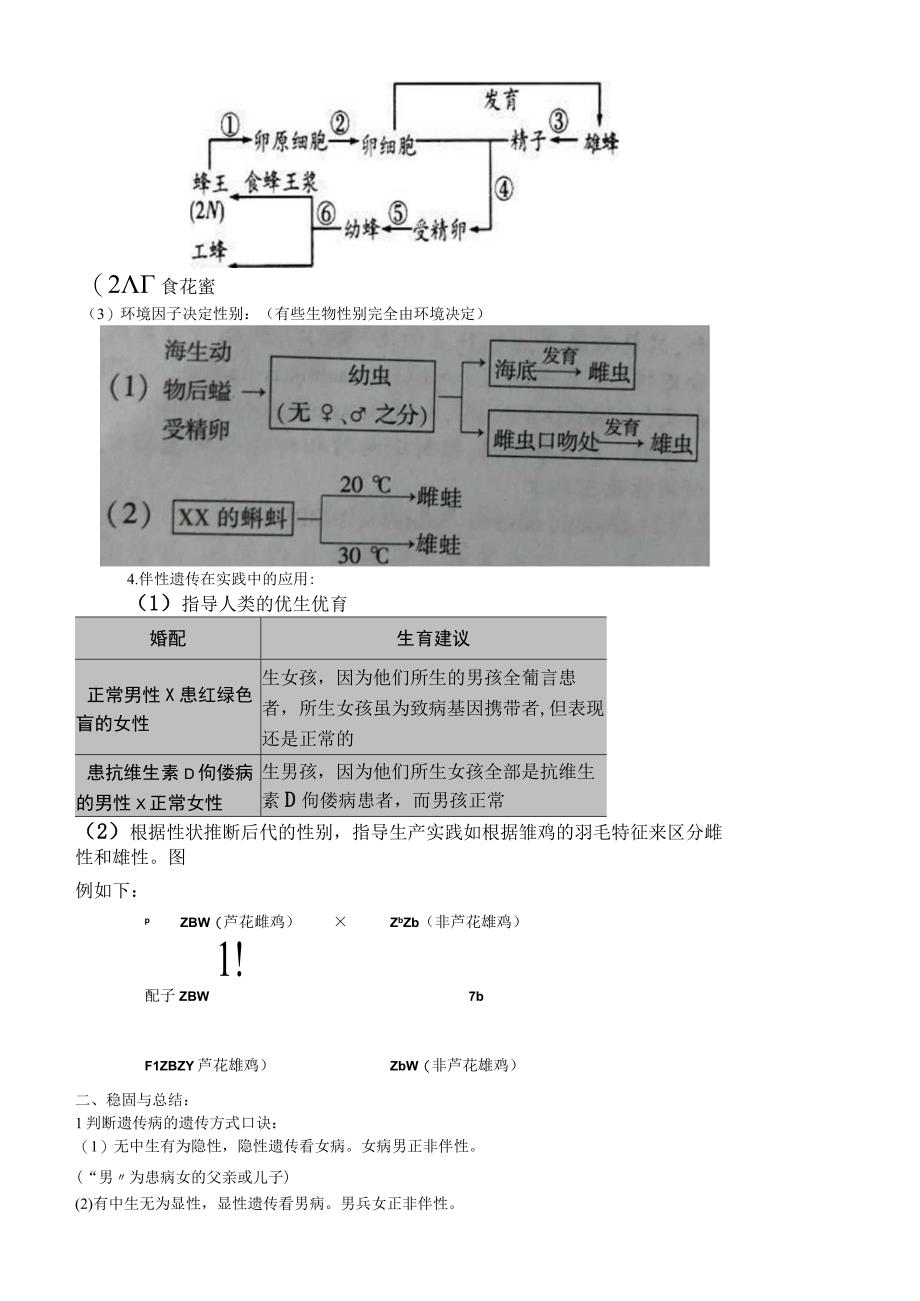 必修二第二章第3节 伴性遗传教案.docx_第3页