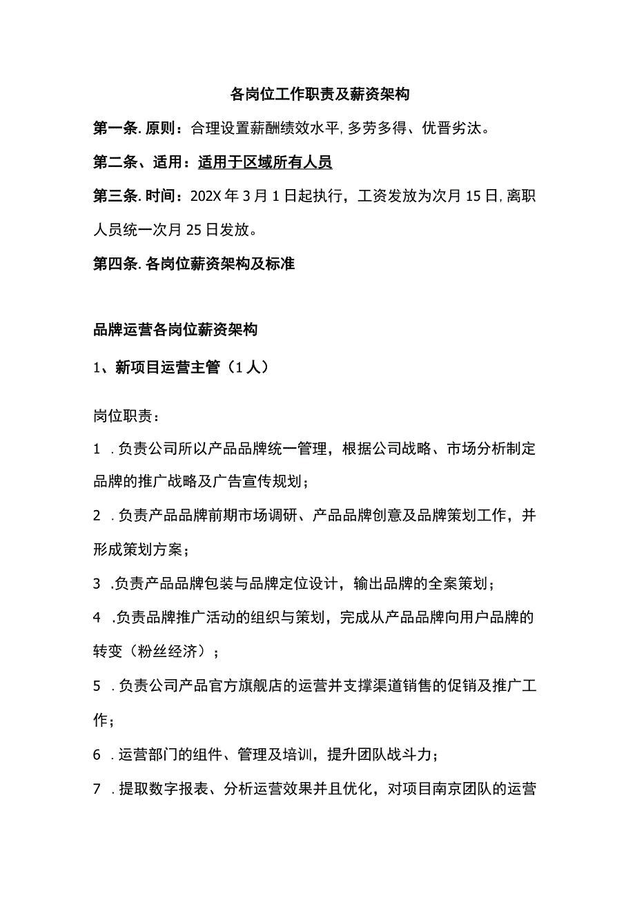 新项目各岗位工作职责及薪资架构（南京）.docx_第1页