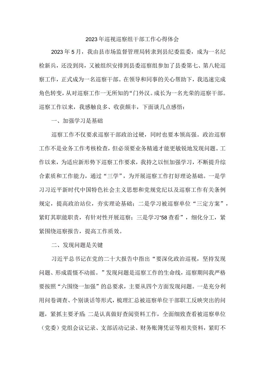 新版区县2023年纪检巡察组巡检工作心得体会 （8份）.docx_第1页