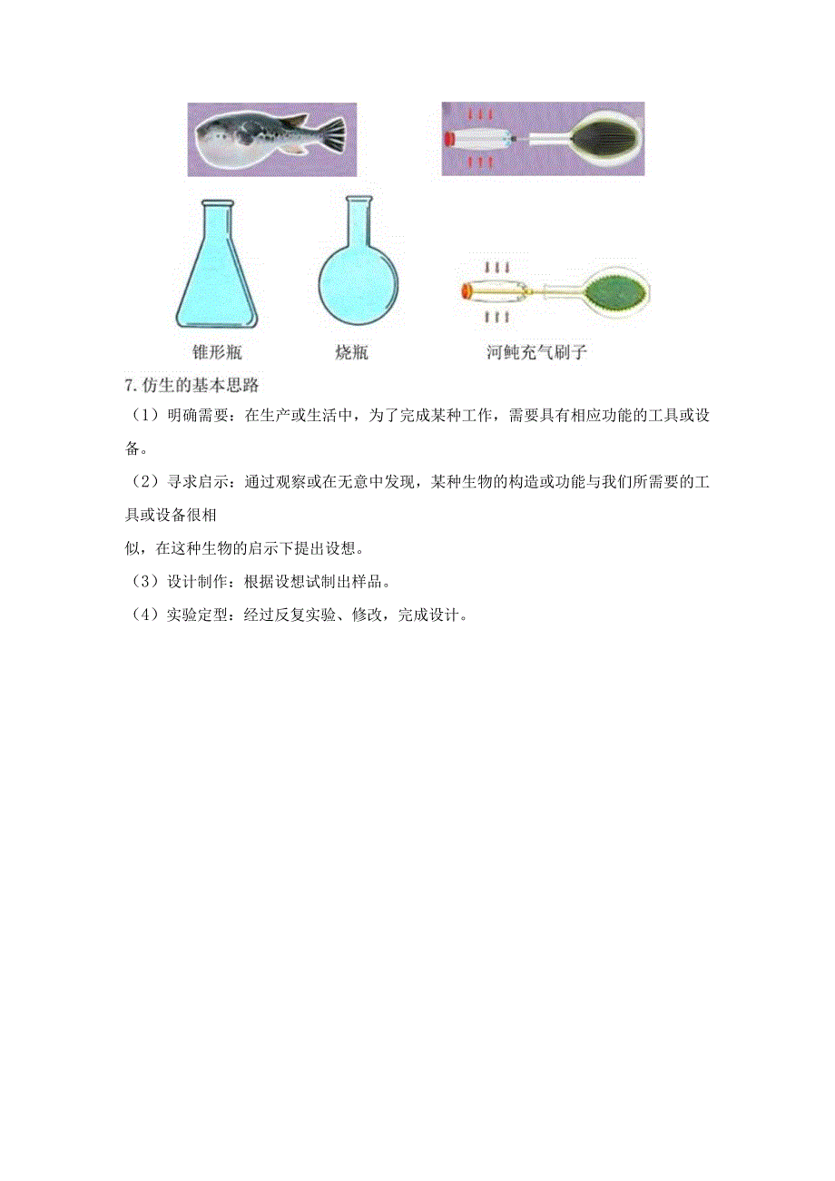 新苏教版五年级科学（下册）8我们来仿生知识点梳理及经典考题练习.docx_第3页