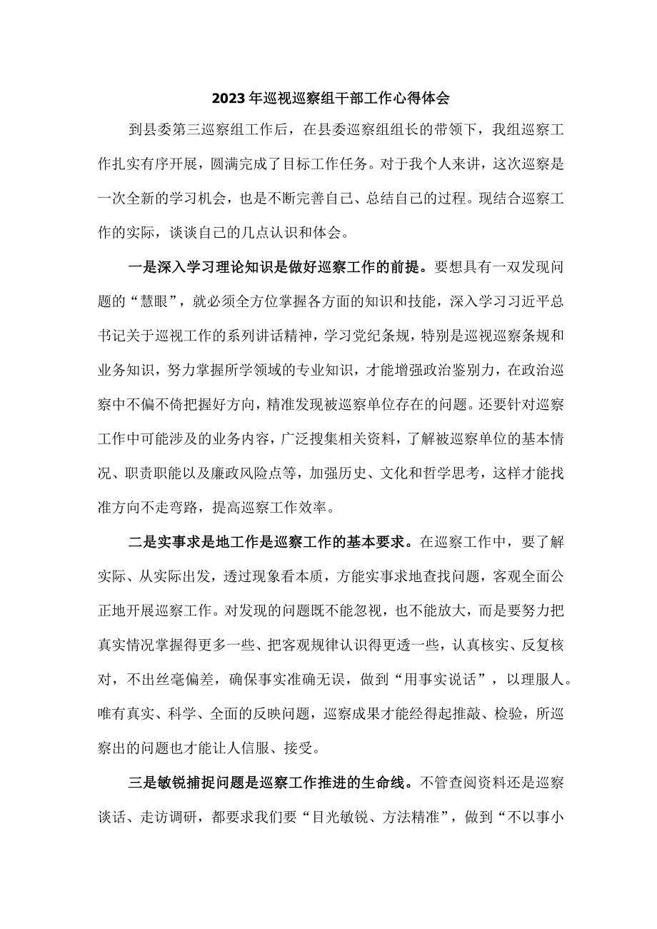 新编市纪检干部2023年纪检巡察组巡检工作个人心得体会 （8份）.docx_第1页