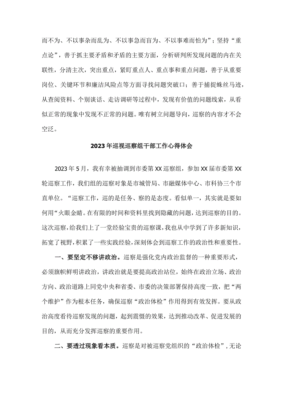 新编市纪检干部2023年纪检巡察组巡检工作个人心得体会 （8份）.docx_第2页